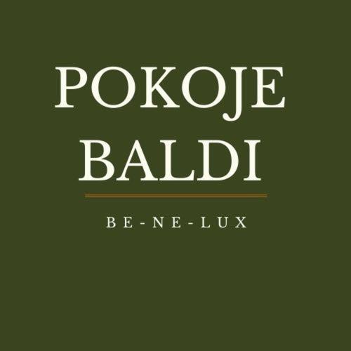 Pokoje Baldi Benelux Skoczów المظهر الخارجي الصورة