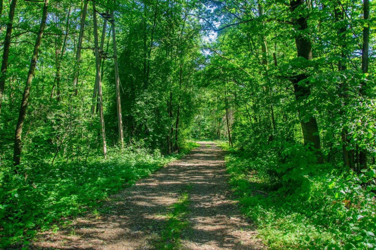 Pokoje Baldi Benelux Skoczów المظهر الخارجي الصورة